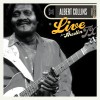 Albert Collins Lights Are On But Nobody's Home 试听