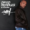 David Morales & Polina Stay (Radio Edit) 试听