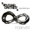 Wolfgang Gartner feat. will.i.am Forever (feat. Will.I.Am) (Radio Edit) 试听