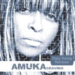Craving (Tracy Young Remixes)详情