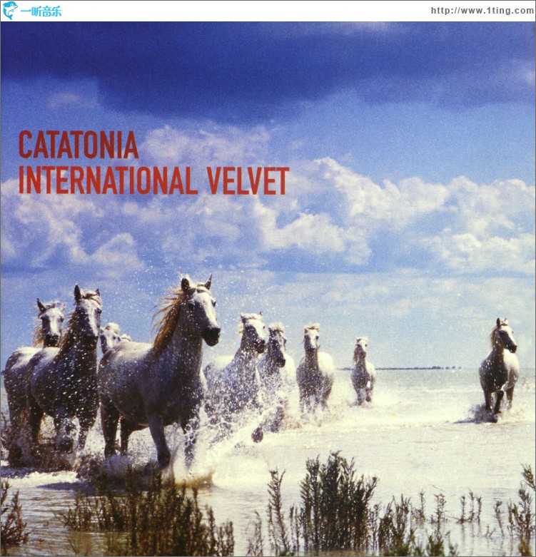 International Velvet