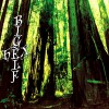 BigElf Rock & Roll Contract 试听