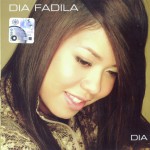 Dia详情
