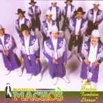 Los machos también lloran详情