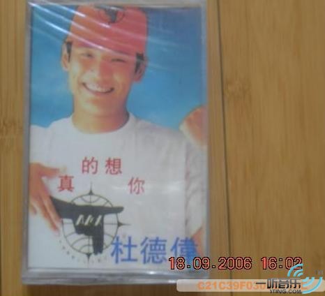 真的想你