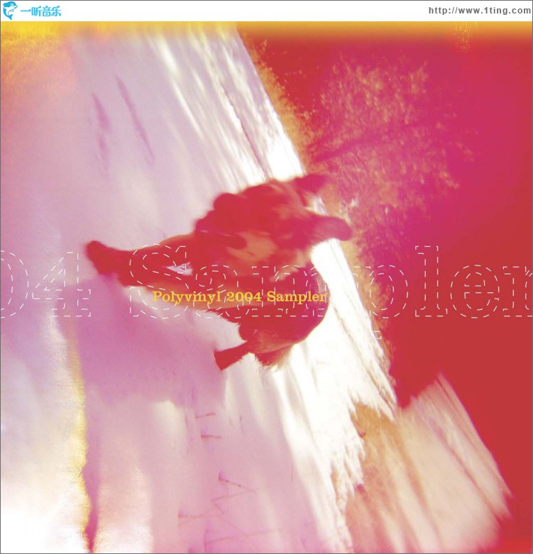 Polyvinyl 2004 Sampler