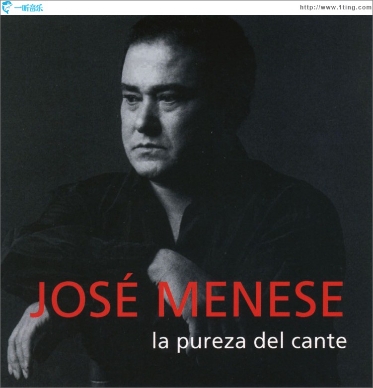 La pureza del cante