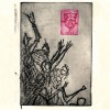 The Panoply Academy Something Steeped, Something Stowed 试听