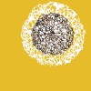 Ida Lovers Prayers (Cd) 试听