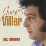 ¡Ay gitana! (Dienc)详情