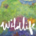 Wildlife详情