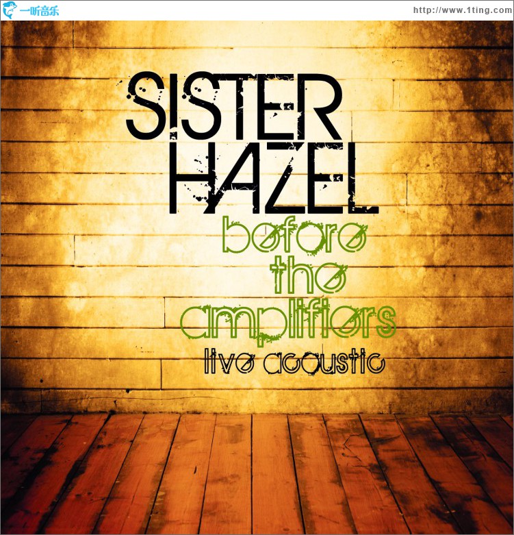 Before The Amplifiers...Live Acoustic