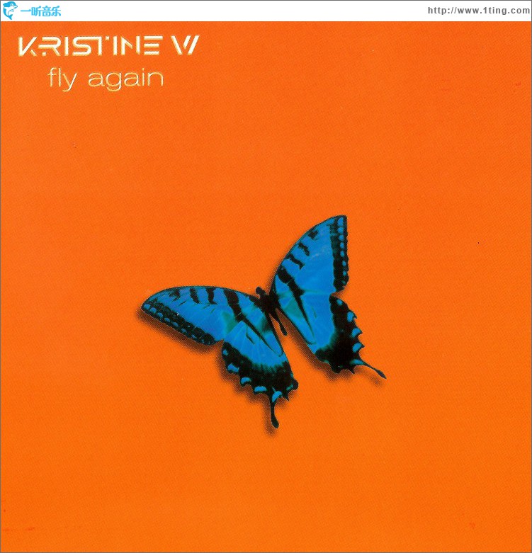 Fly Again Remixes