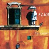 Flea Amazzone A Piedi 试听