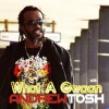 Andrew Tosh What a Gwaan 试听