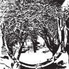 Metabolismus Snowy Meadows 试听
