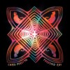 Chris Forsyth Paranoid Cat, Parts 1-3 试听