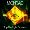Trip The Light Fantastic b/w Again Again