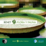 Flora Y Fauna详情
