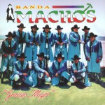 Gracias mujer详情