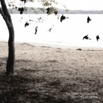 There's No Leaving Now详情