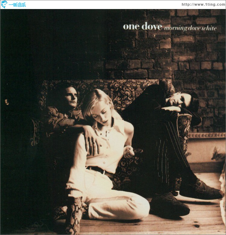 Morning Dove White