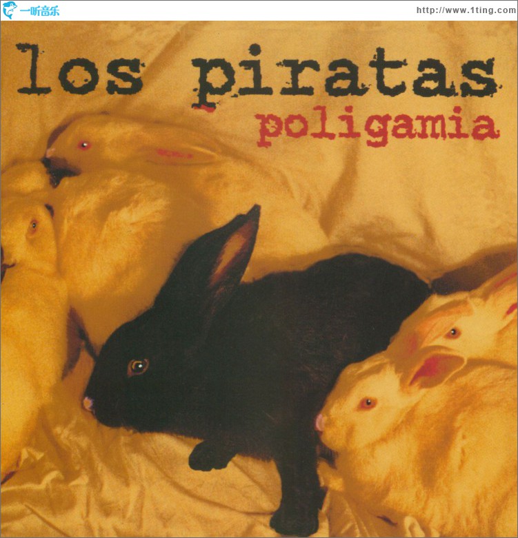 Poligamia