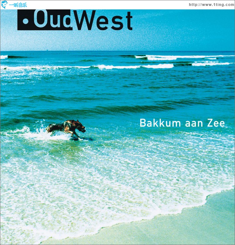 Bakkum Aan Zee