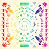 The Toothaches Into The Sun 试听