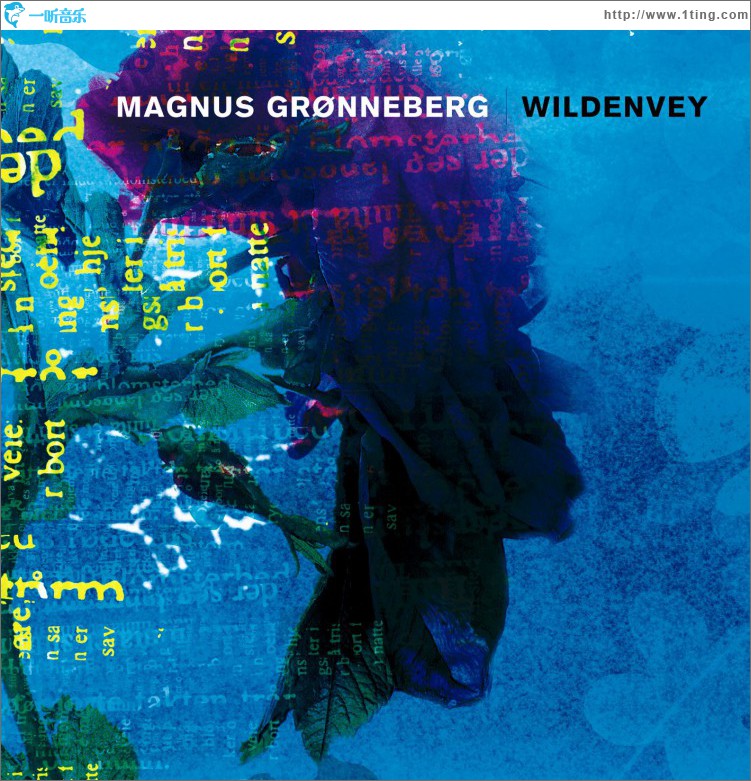 Wildenvey