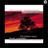 Petri Laaksonen Loistakoon liekki 试听