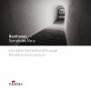 Nikolaus Harnoncourt & Chamber Orchestra of Europe Symphony No.9 in D minor Op.125 : I Allegro ma non troppo, un poco maestoso 试听