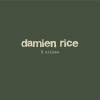 Damien Rice 9 Crimes 试听