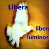 Libera Sacris solemnis [Beethoven' Symphony No.7 : Allegretto] 试听