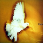 Libera详情