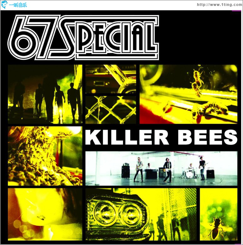 Killer Bees (Bundle)