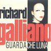 Richard Galliano Chat pître 试听