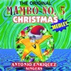 The Original Mambo No.5 Christmas Medley