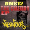 DMS12 Cherry Power (Original Mix) 试听