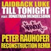 Laidback Luke Till Tonight feat. Jonathan Mendelsohn (Peter Rauhofer Reconstruction Remix) 试听