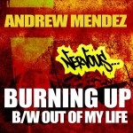 Burnin Up EP详情