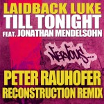 Till Tonight feat. Jonathan Mendelsohn - Peter Rauhofer Remix详情