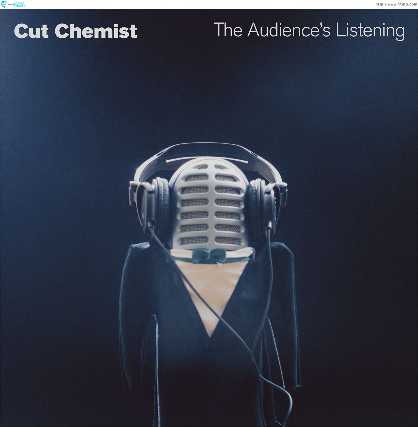 The Audience's Listening (DMD Album)