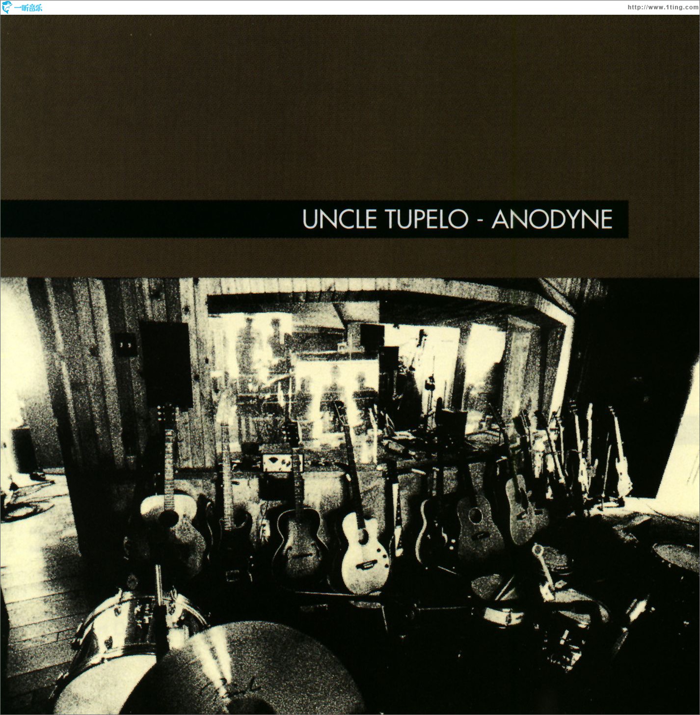 Anodyne