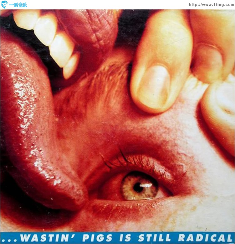 Wastin' Pigs (Internet Maxi Single)