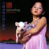 Spacehog One Of These Days (LP Version) 试听