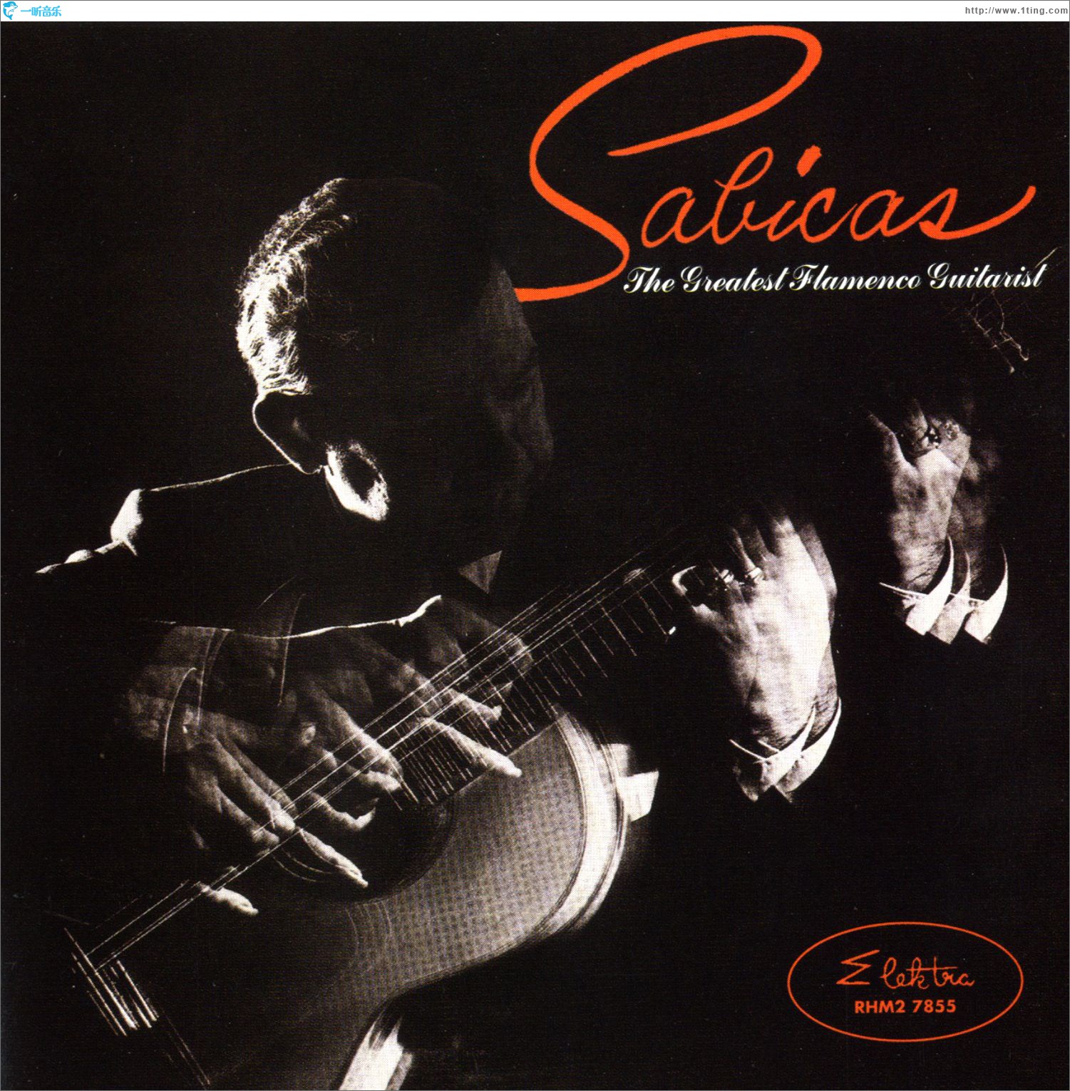 The Greatest Flamenco Guitarist