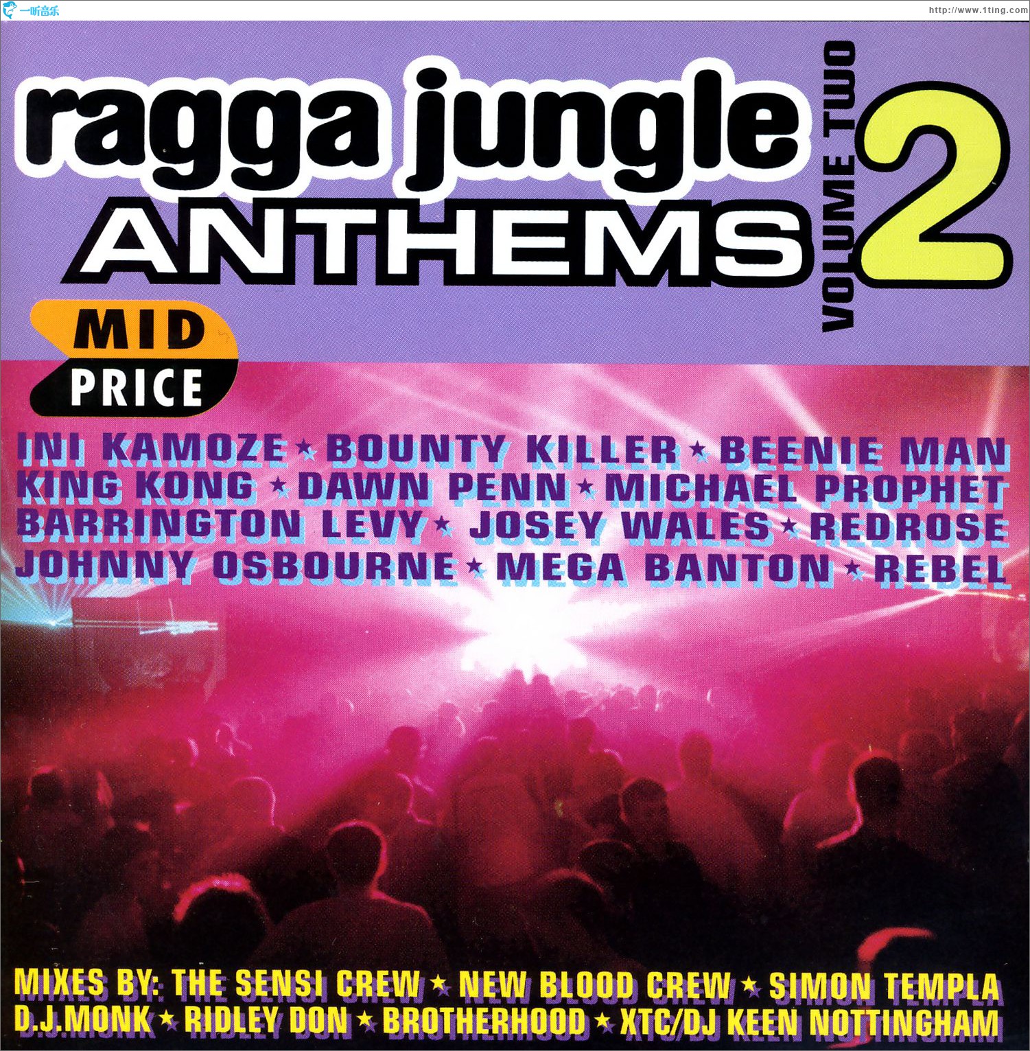 Ragga Jungle Anthems Vol. Two