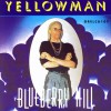 Yellowman Blueberry Hill 试听