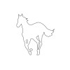 White Pony (U.S. Version)